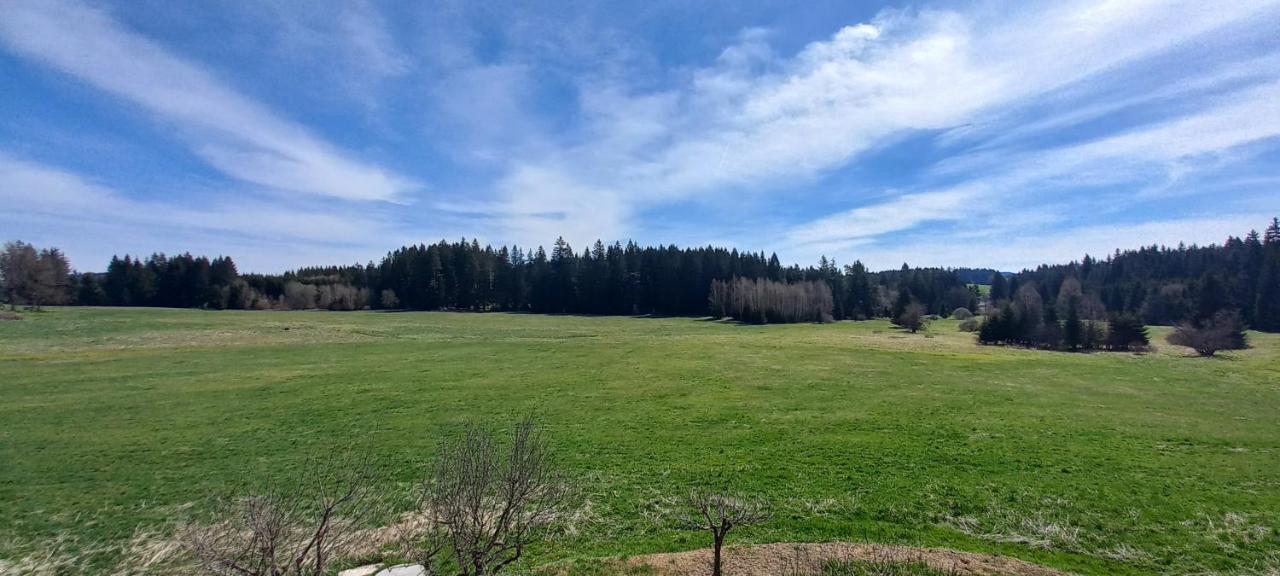 Apartman V Jame Černá v Pošumaví Exteriér fotografie